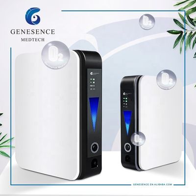 qualidade  For Home Use 1L Mini Flow Portable In-car Oxygen Concentrator, Home Oxygen Making Machine, Nebulizer Machine fábrica